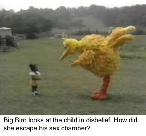 Some say it used to live on the 3rd dimensional planet earth, in an area called sesame street. No! Big Bird! No! : SesameStreetMemes