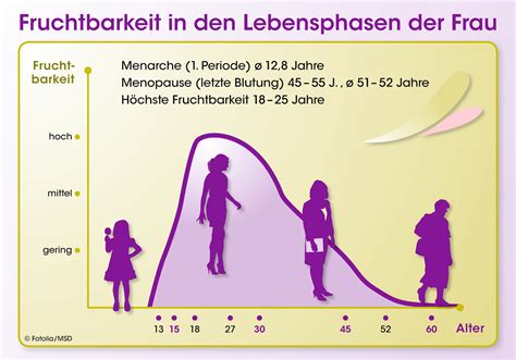 Beeinflusst die pille nach dem absetzen die fruchtbarkeit? fit und gesund: Innovative Hormonkombination in der ...