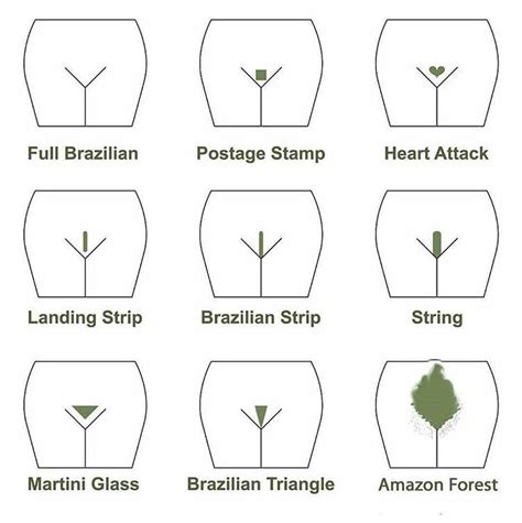 Not shaving it, do it while the hair is completely dry — it'll be easier to manage remove the hair on the outskirts of the pubic area with a razor, electric razor, wax, epilator, or do not apply rubbing alcohol to your genitals. If you wax you need LUV SCRUB | Bikini wax styles, Types ...