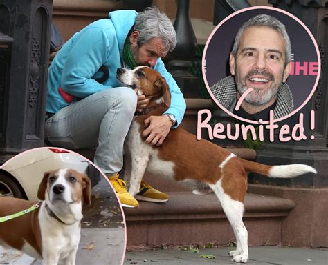 See what janice wacha (janwacha) has discovered on pinterest, the world's biggest collection of ideas. Andy Cohen Reunites With Beloved Dog Wacha Months After ...