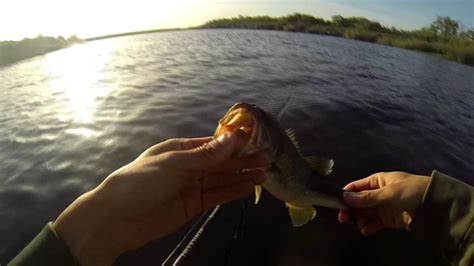 5 winter bass fishing techniques to keep you going when there's a chill in the air. Yee Float Tube Fishing For Bass CA Green Delta - 05/24/14 ...