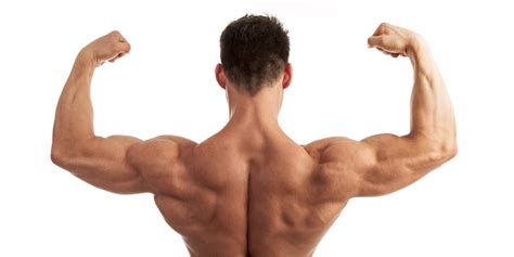 This is a table of skeletal muscles of the human anatomy. Five Reasons You Suck at Building Muscle | HuffPost UK