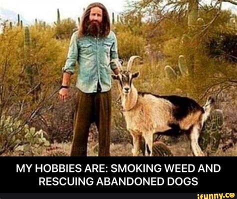 MY HOBBIES ARE: SMOKING WEED AND RESCUING ABANDONED DOGS ...