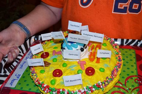 The cake was decorated with licorice laces, ribbon candy, peanut butter cups, skittles, two kinds of. THE Woller World: Another project ---- JM and his animal ...