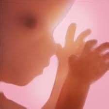 Trying to keep track of everything going on during your pregnancy is overwhelming, but ovia pregnancy tracker makes it easier by providing a pregnancy information hub. The Best Pregnancy Apps to Track Your Little One's Growth ...