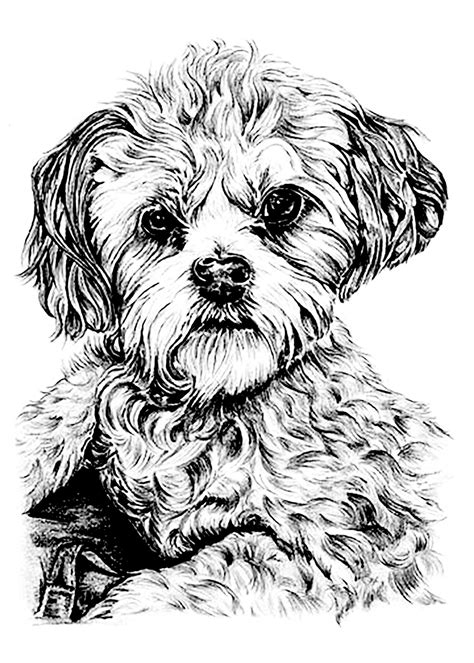 640 x 800 file type: Dog for kids - Dogs Kids Coloring Pages