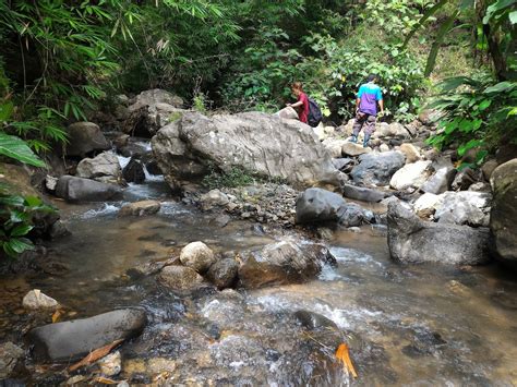Begitulah semangat yang harus dimunculkan pada diri sendiri. suiseki kebumen: suiseki batu rijang kebumen