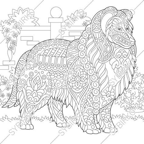 Shelties, shetland sheepdogs, toonie dogs, miniature collies whatever you call them (well not miniature collies hopefully) here is where you. Coloring pages for adults. Rough Collie. Shetland Sheepdog ...