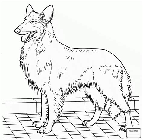 German shepherd coloring pages to download and print for free. German Shepherd Dog Drawing at GetDrawings | Free download