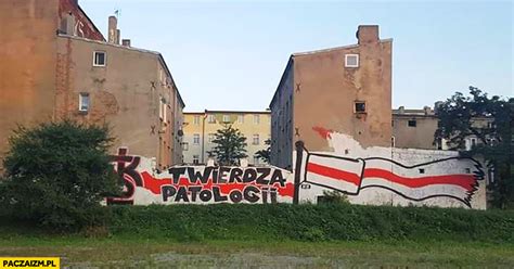 Memy po porażce ze słowacją. ŁKS twierdza patologii graffiti napis na murze - Paczaizm.pl