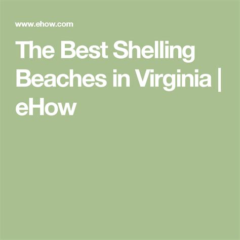To improve your chances of finding those delicate coquinas, and cockles, conchs, sand dollars and those rare scotch bonnets, hit the beach at low tide when there is more beach for walking, or. The Best Shelling Beaches in Virginia | eHow | Shell beach ...