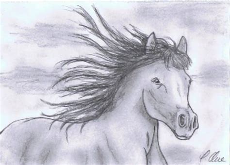 Weitere ideen zu süße tiere zeichnen tiere zeichnen niedliche zeichnungen. Zeichnung (Bleistift) Pferd by pilli, Hallo, diesmal habe ich ein rennendes Pferd gezeichnet und ...