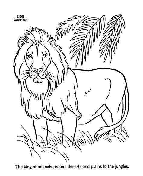 Other pride land characters include. Coloring Pages Lions - Coloring Home