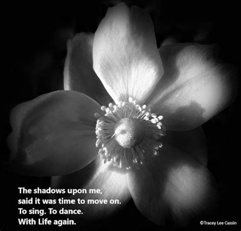 Check out 111 inspiring photography quotes and read them when you lack inspiration. Black and white flower quote in 2020 | Flower quotes ...