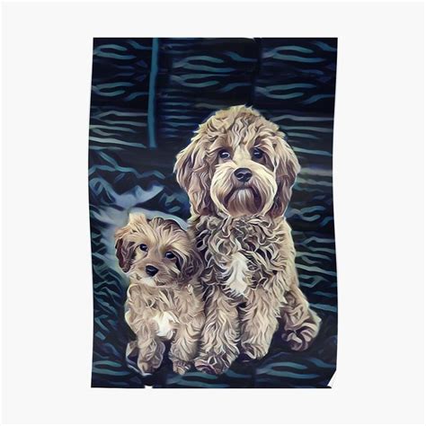 The cavapoo is not a purebred dog. 'Cavapoo Dogs Adorable Pet Poodle Cute Puppy' Poster by ...