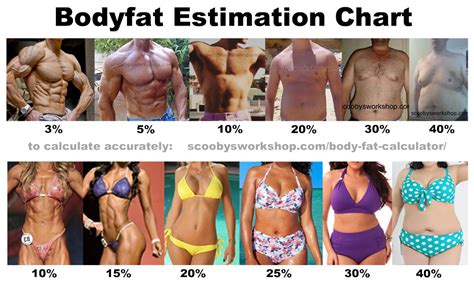 Find out about calculating your body fat. Body Fat Men - Homemade Porn