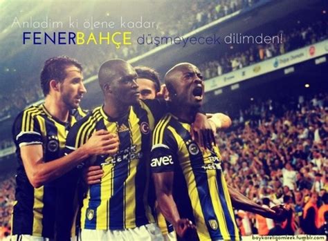 We did not find results for: fenerbahce sk on Tumblr