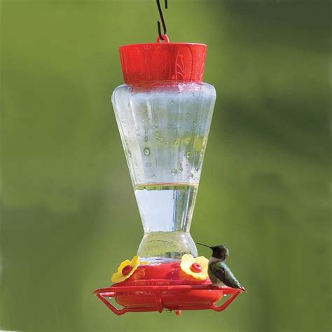 Check spelling or type a new query. Royal Red Hummingbird Feeder | Humming bird feeders, Red ...