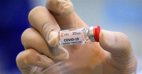 วัคซีนประเภท mrna จะประกอบไปด้วยสารพันธุกรรมที่เรียกว่า mrna เมื่อฉีดวัคซีนเข้า. 7 วัคซีน ความหวังพิชิตวิกฤตโรคโควิด-19 - Tuemaster เรียน ...