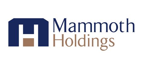 Acquisitions - Mammoth Holdings, LLC.