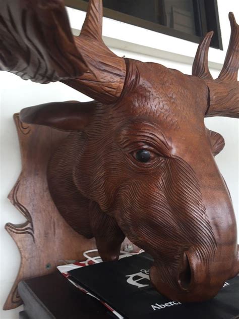 Whether you are looking for a bear rug, fish rug, moose rug or deer rug, this collection will satisfy all your wishes for cabin rugs. Wooden Moose Taxidermy Antlers Horns Skull Wall Mount, Furniture, Home Decor, Antiques on Carousell