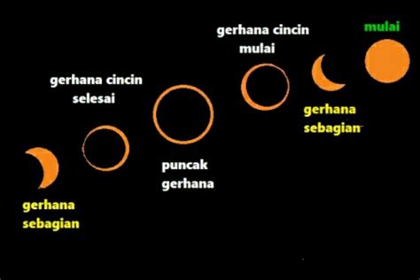 Gerhana matahari adalah sebuah fenomena dimana matahari, bulan dan bumi berada dalam satu garis lurus sehingga cahaya matahari tidak dapat ada beragam jenis gerhana matahari yakni gerhana matahari total, gerhana matahari cincin, gerhana matahari campuran atau hibrida dan. 30+ Gambar Gerhana Matahari Cincin Yang Benar - Foto ...
