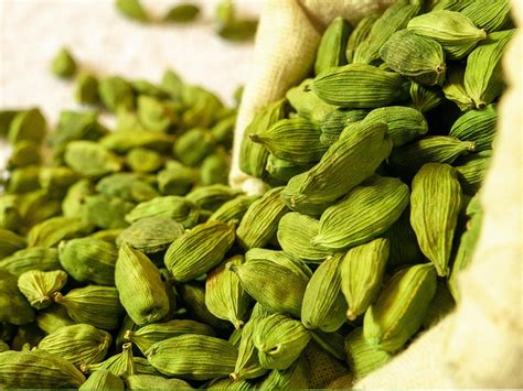 Here's how they are different from each other.#black cardamom,#green cardamom. GREEN CARDAMOM | Eodis India