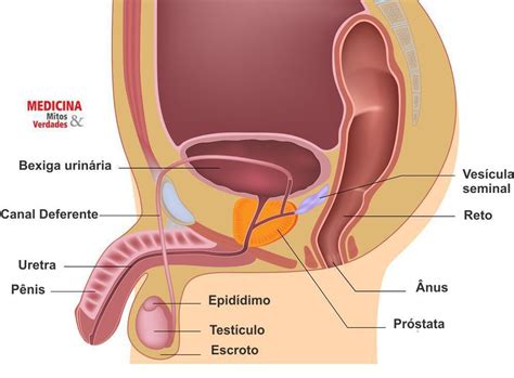I'd first heard about testicular cancer when i was about fifteen. Vasectomia e o desempenho sexual | Medicina - Mitos e Verdades