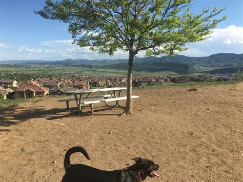 Sweden last played at hampden park 40 years ago, one month before zlatan ibrahimovic was born, in a. Forsberg Iron Spring Dog Park - Lakewood CO Off-Leash Dog Park