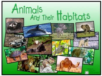 Vocabulary worksheets > the animals > animal habitats. Animals & Their Habitats, Keynote Presentation, Part One | TpT