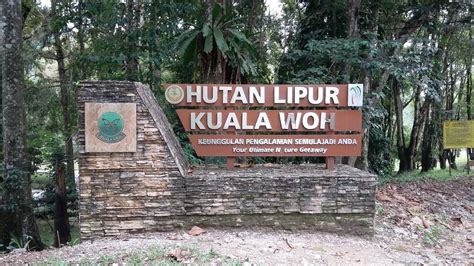 Kuala woh recreational forest ( hutan lipur kuala woh in bahasa) is a riverside jungle park located close to tapah in perak. Mohd Faiz bin Abdul Manan: Hutan Lipur Kuala Woh