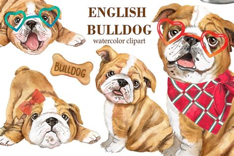 Check spelling or type a new query. English bulldog watercolor clipart. Cute bulldog puppies ...