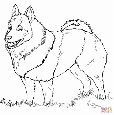 Toy Poodle Coloring Pages at GetColorings.com | Free printable colorings pages to print and color