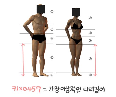 Check spelling or type a new query. 내 다리 비율은 매력적일까? | 1boon