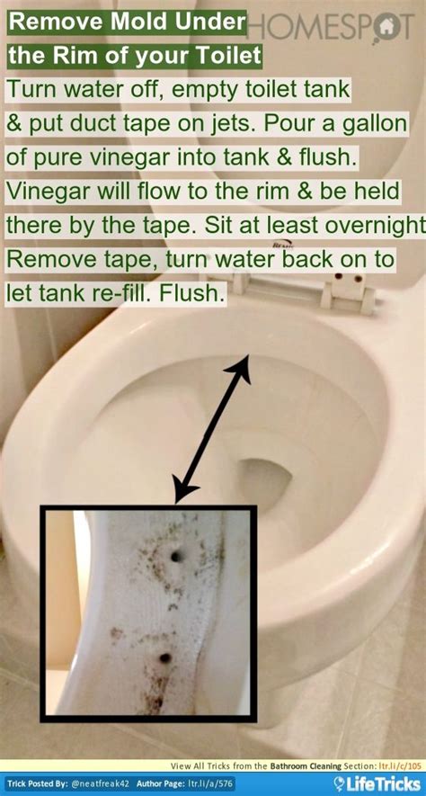 This way, even if the toilet is flushed the toilet fill valve will remain shut and no water can fill the toilet tank. Remove Mold Under the Rim of your Toilet Bathroom Cleaning ...