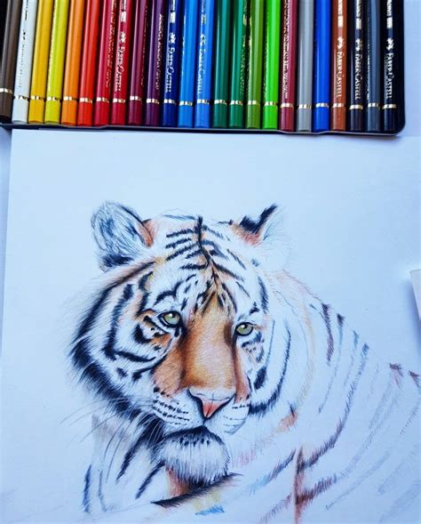 Unique approach · web development · software engineering Tiger coloured pencil progress drawing | Illustration art ...