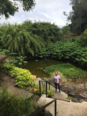 Mele kalikimaka from kula botanical garden!! Kula Botanical Garden (HI): Top Tips Before You Go (with ...