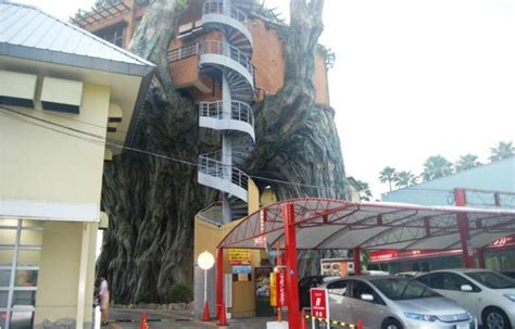 Perkara di atas adalah dirujuk. ctnhoney: 6 Gambar Restoran Atas Pokok- Naha Harbor Diner ...