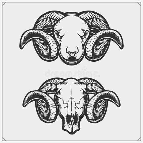 However industry critics promptly butted in questioning the findings. Rams and skull ram with with beautiful swirling horns ...