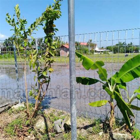 Check spelling or type a new query. Toko Pagar Besi BRC Lombok Barat Gerung Jual Murah Harga ...