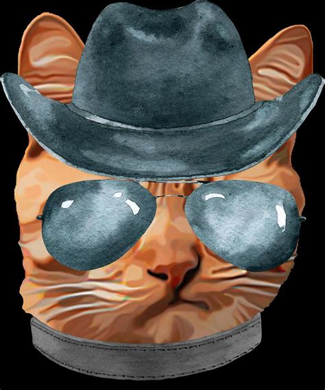 🤠 if you haven't already followed my insta be sure to! Cat Kitty Kitten In Clothes Aviators Cowboy Hat Digital ...