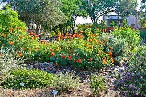 Delmar gardens of green valley is a retirement home, located in henderson, nevada at 100 delmar gardens dr. "Green Valley Gardeners' Arid Garden" by Linda Gregory ...