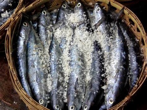 4 ekor ikan pindang kembung layang (sesuai selera) resep pindang kering ikan kembung bahan: Peluang Bisnis: Usaha Ikan Pindang