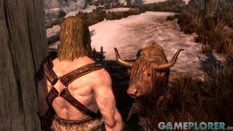 8 января 2020 | дома, геймплей, локации. Download Skyrim Haus Bauen Bestes Grundst?Ck Images ...