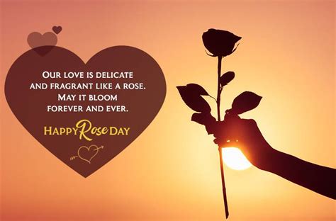 Rose day marks the beginning of the valentine week. Happy Rose Day 2019: Wishes, Images, Status, Shayari, Photos Quotes, SMS, Messages, for Whatsapp ...