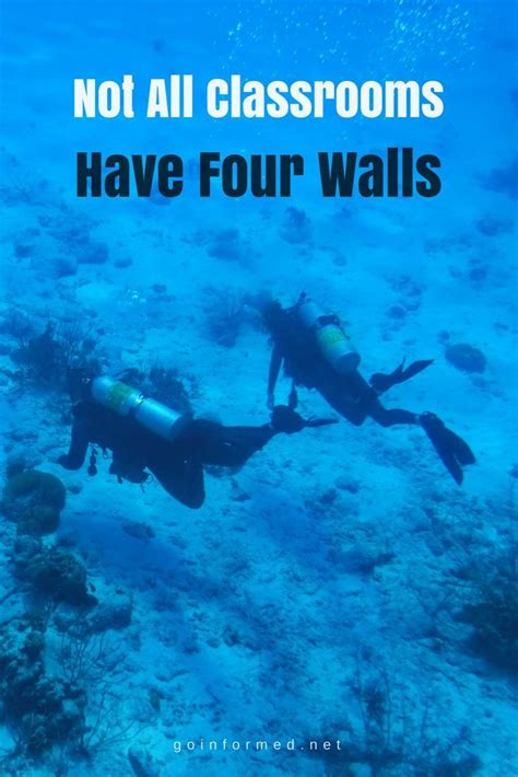 The red sea diving resort quotes. Six Things to Bring When You Go Shore Diving and ...