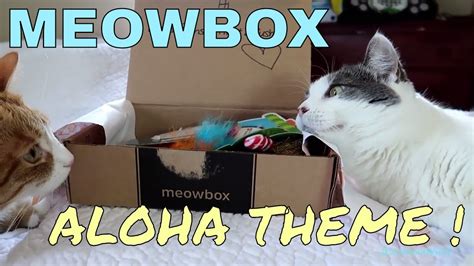 Here are the best monthly cat subscription boxes that are purrrfect for your cute companion: meowbox Unboxing - Cat Subscription Box - August 2017 ...