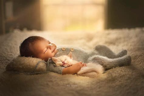 If you'd like to see more, visit my website! Baby photos with cats. Newborn photoshoot with animals ...
