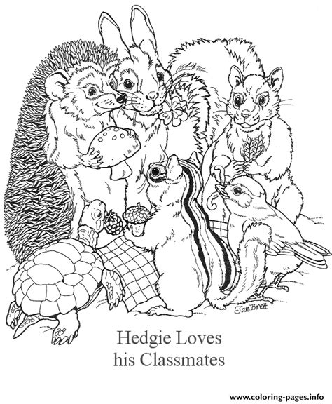 Share the link by posting a comment and i may add a few. Hedgie Loves His Classmates By Jan Brett Coloring Pages ...