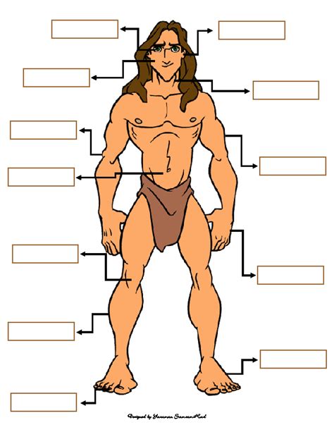 Parts of the body male. Body Parts